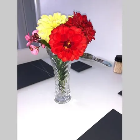 Fuchsia Tranquil Modern Seaside On The Wild Atlantic Way 公寓