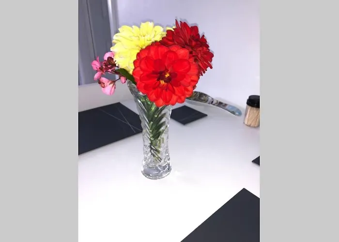 Fuchsia Tranquil Modern Seaside On The Wild Atlantic Way Apartamento